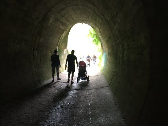Wędrówki po rezerwacie Dolina Chłapowska